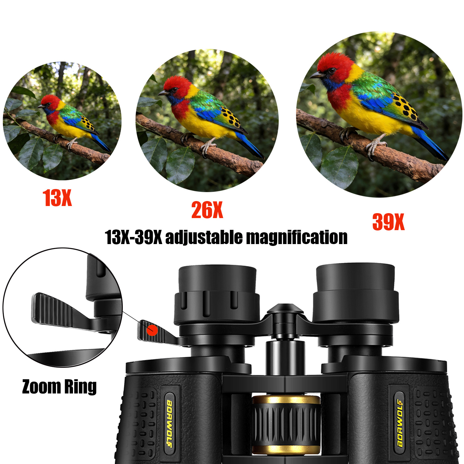 BORWOLF 13-39X70 ED Teropong P - National Geographic Telescope 70Mm ulasan dan harga