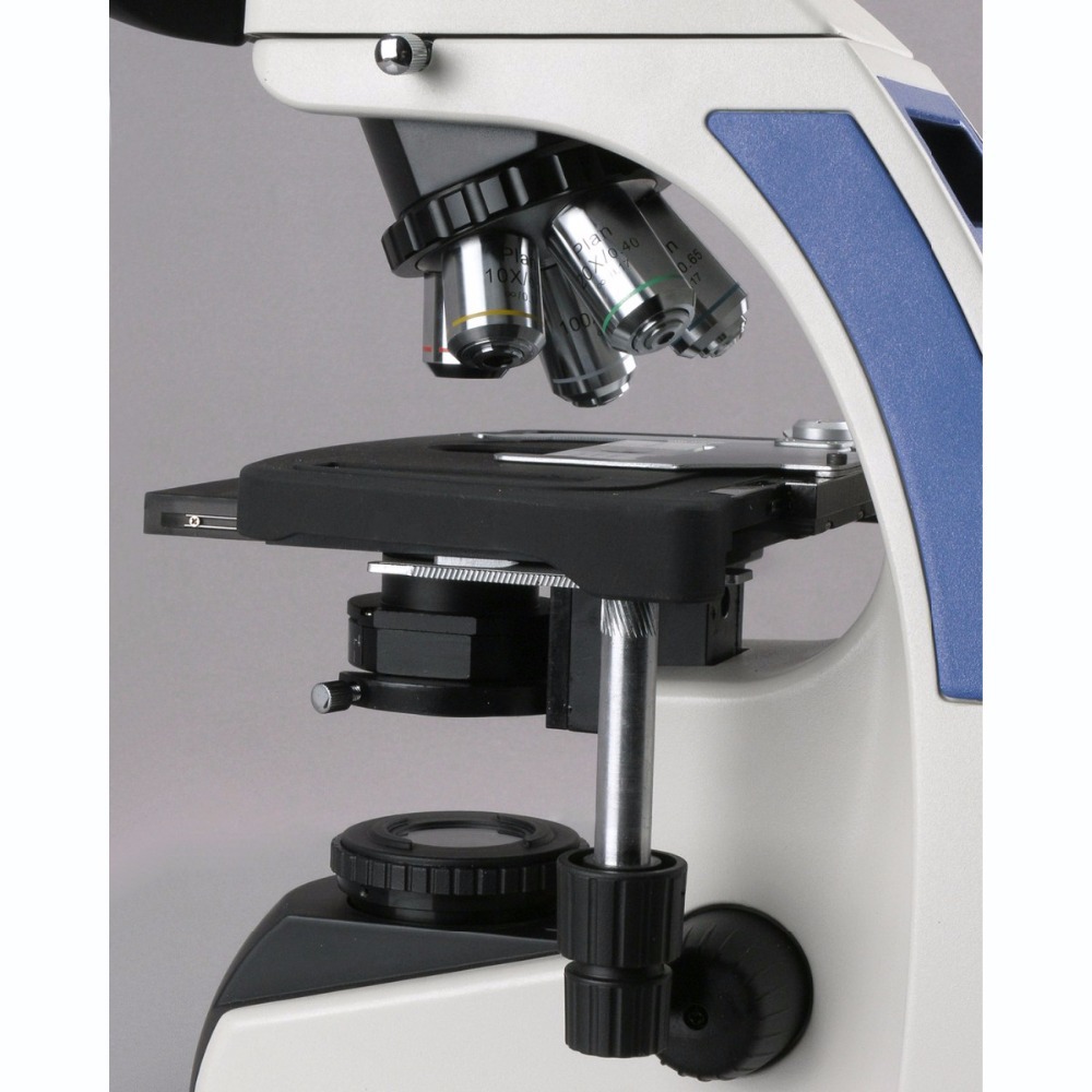 Mikroskop Trinokuler AmScope S - Amscope Microscope Compound 40X-1000X ulasan dan harga